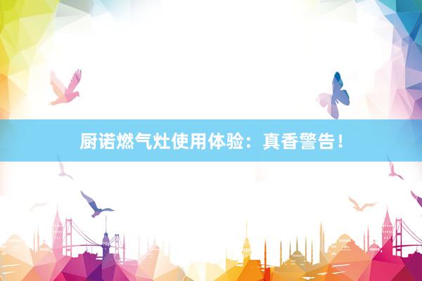 厨诺燃气灶使用体验：真香警告！